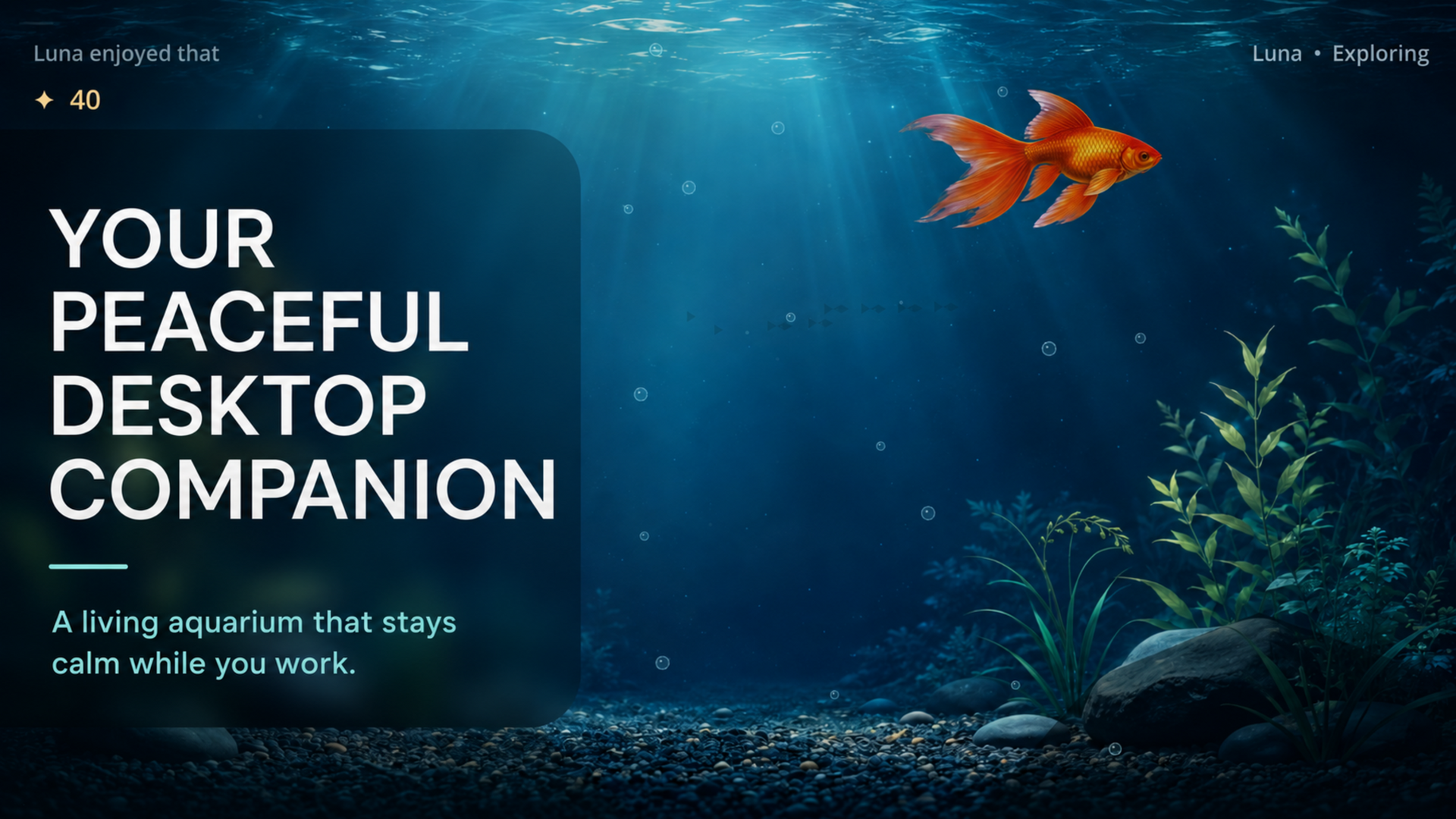 A peaceful goldfish aquarium on the desktop