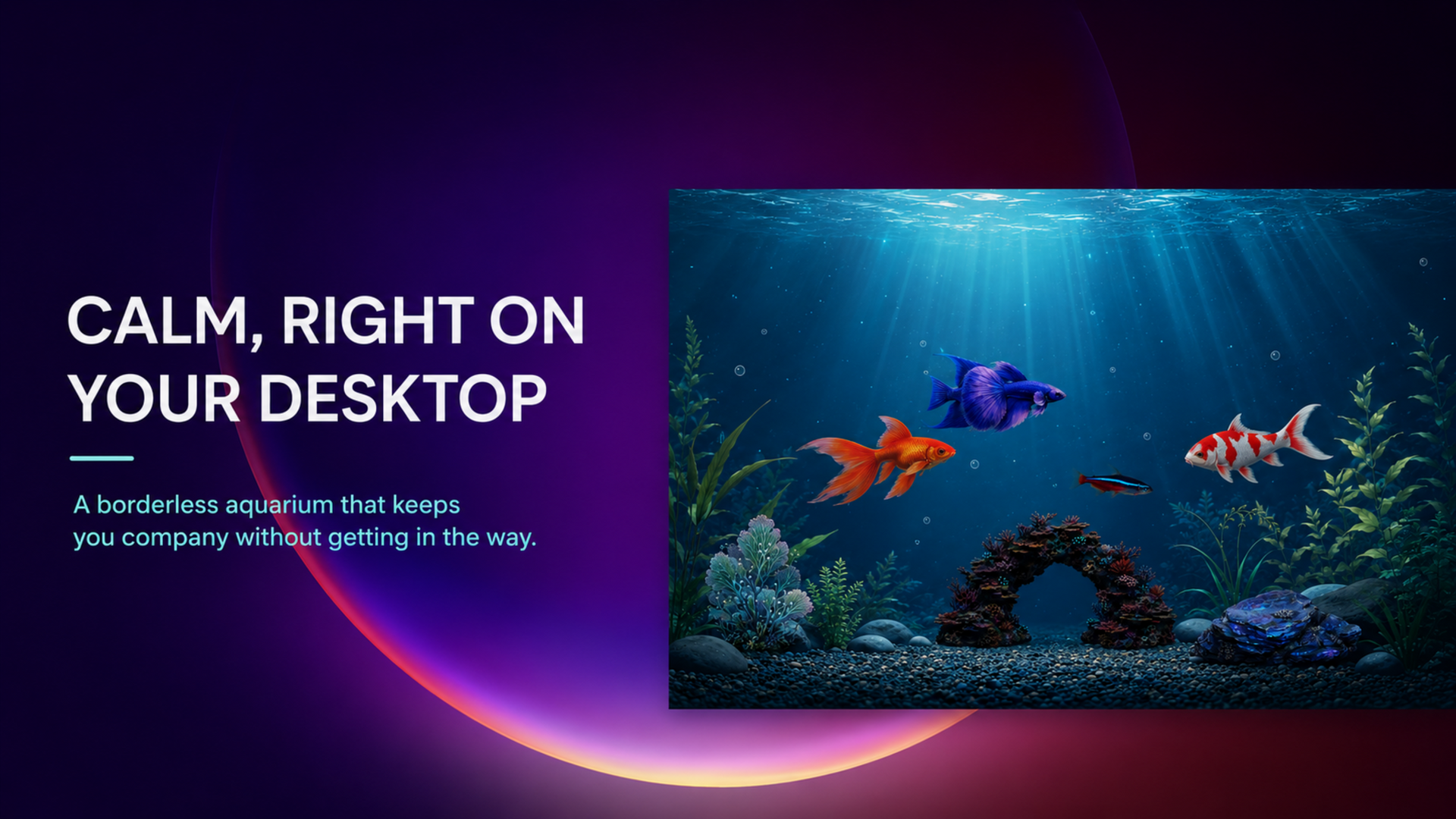 Desktop Aquarium running in borderless mode